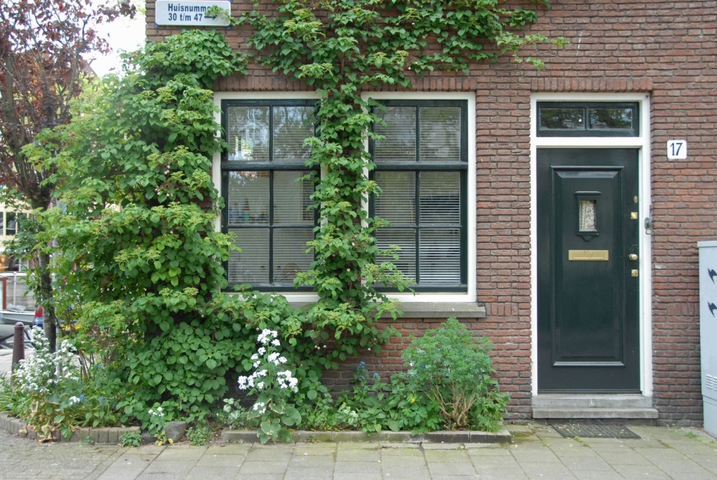 For rent: Apartment Hortusplantsoen, Amsterdam - 14