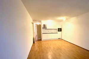 Te huur: Appartement Oude Binnenweg, Rotterdam - 1