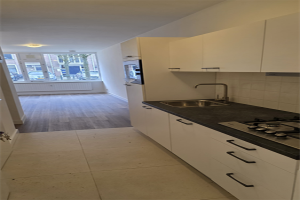 For rent: Studio Wittevrouwensingel, Utrecht - 1