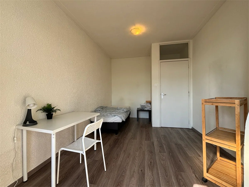 For rent: Apartment Ermelostraat, Den Haag - 6
