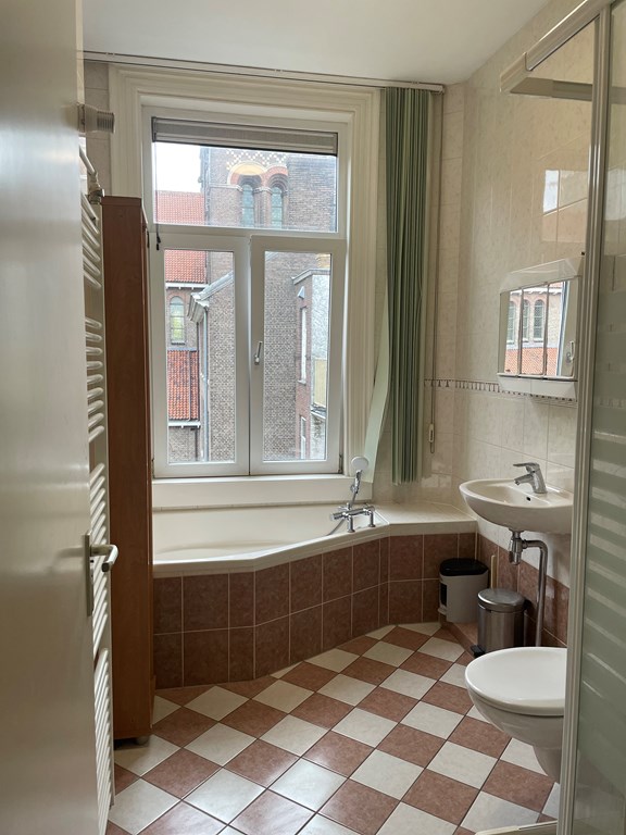 Te huur: Appartement Johannes Verhulststraat, Amsterdam - 18