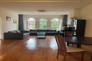 Te huur: Appartement Johannes Verhulststraat, Amsterdam - 1