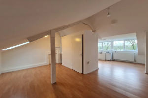 For rent: Studio Vossehol, Oss - 1