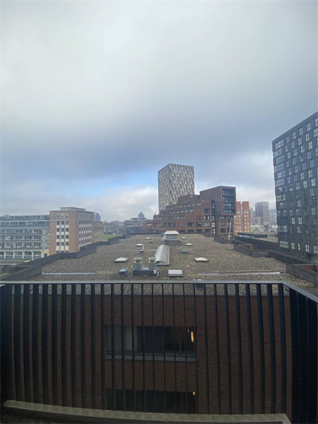 Te huur: Appartement Sint-Jobskade, Rotterdam - 8