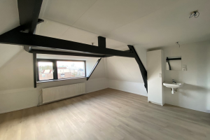 For rent: Studio Sonsbeeksingel, Arnhem - 1