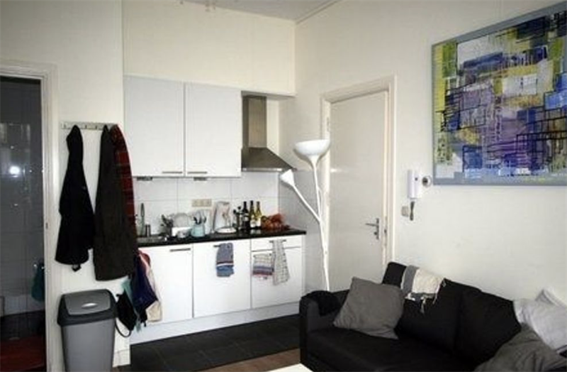 For rent: Apartment Van Swietenstraat, Den Haag - 3