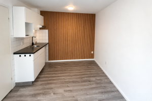 Te huur: Appartement De Wiltstraat, Arnhem - 1