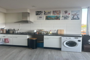 For rent: Apartment Ir. Driessenstraat, Leiden - 1