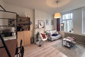 For rent: Room Herbenusstraat, Maastricht - 1