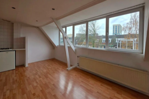 Te huur: Kamer Speelhuislaan, Breda - 1