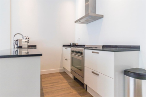 Te huur: Appartement 2e Schuytstraat, Den Haag - 1
