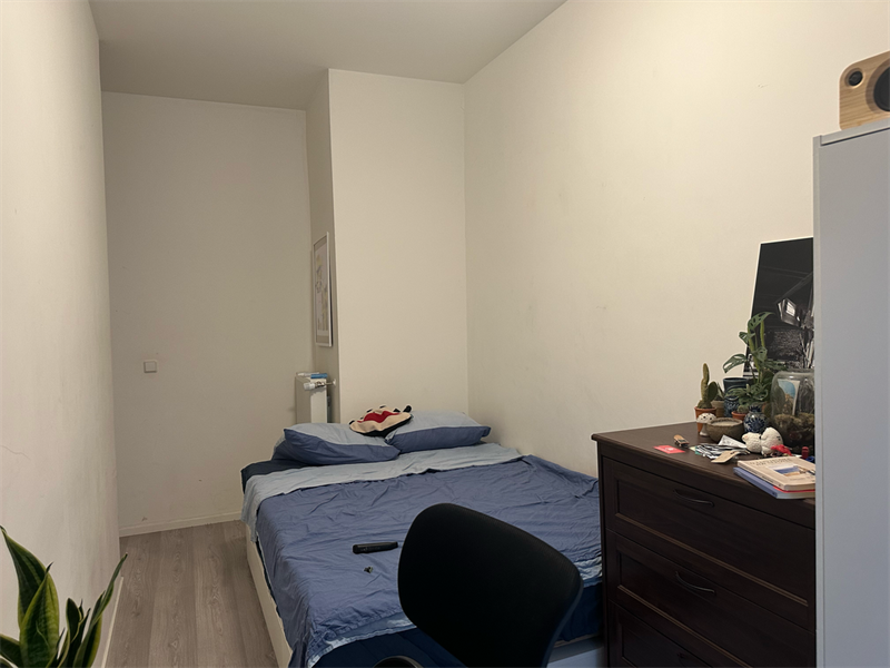 For rent: Apartment Diergaardesingel, Rotterdam - 2
