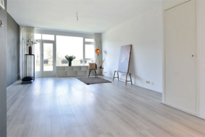Te huur: Appartement De Savornin Lohmanlaan, Den Haag - 1