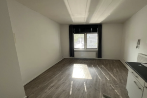 For rent: Studio Goirkestraat, Tilburg - 1