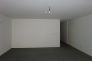 For rent: Apartment Jagerlaan, Zeist - 1