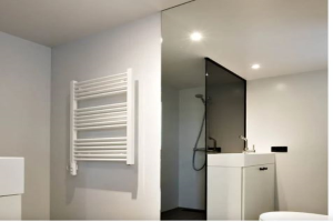 Te huur: Appartement Professor Pieter Willemsstraat, Maastricht - 1