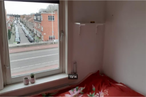 For rent: Room Balijelaan, Utrecht - 1