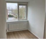 For rent: House Sint Lambertusstraat, Budel-Schoot - 4