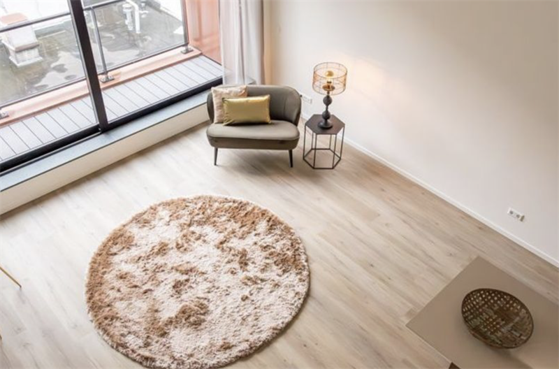 Te huur: Appartement Bagijnestraat, Den Haag - 2