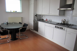Te huur: Appartement Zuid Willemsvaart, Den Bosch - 1