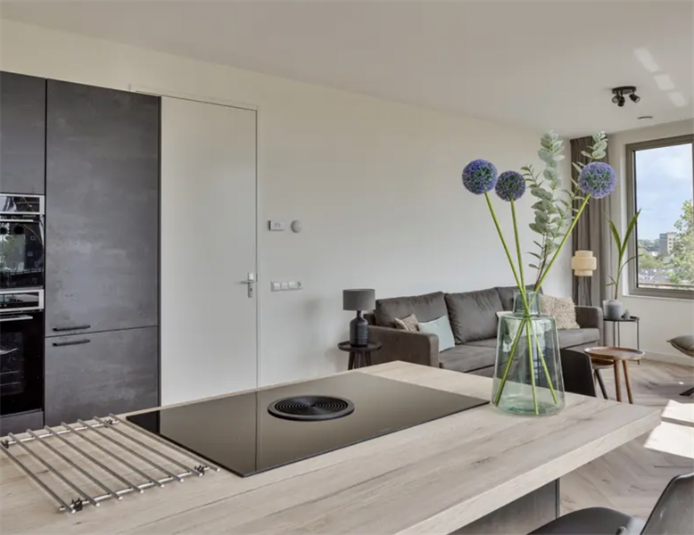 Te huur: Appartement Vliegerstraat, Leiden - 1