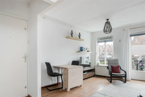For rent: Apartment Spaarne, Haarlem - 1