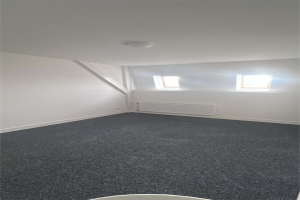 For rent: Room Wilhelminapark, Tilburg - 1