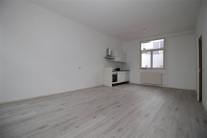 Te huur: Appartement Bleijenburg, Den Haag - 1