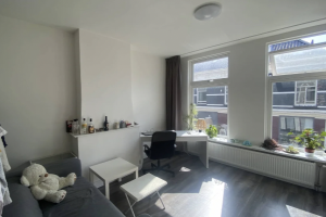 Te huur: Studio Zegwaardstraat, Rotterdam - 1