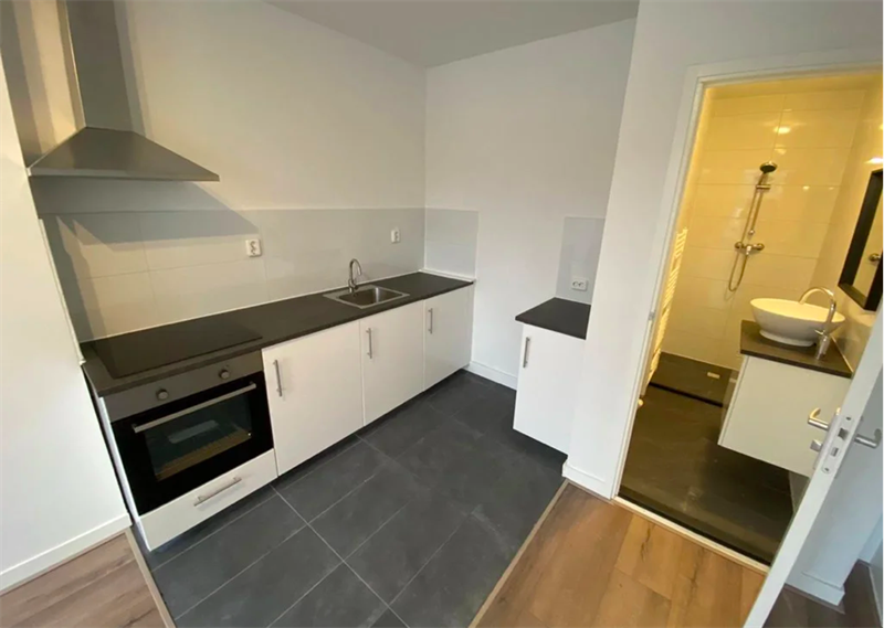 For rent: Apartment Soestdijksekade, Den Haag - 5