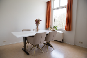 Te huur: Appartement Koningslaan, Utrecht - 1