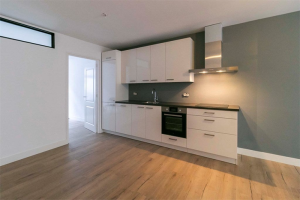 Te huur: Appartement Barentszstraat, Den Haag - 1