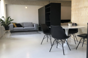 For rent: Apartment Professor Pieter Willemsstraat, Maastricht - 1