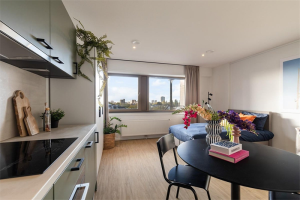 Te huur: Studio Westblaak, Rotterdam - 1