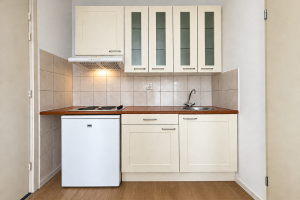 Te huur: Appartement Nicolaas Tulpstraat, Den Haag - 1