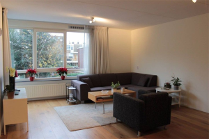 Te huur: Appartement Abraham Patrasstraat, Den Haag - 1