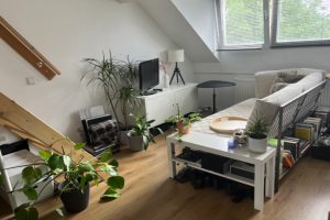 For rent: Apartment Scharnerweg, Maastricht - 1