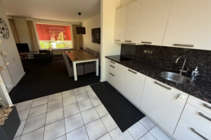 Te huur: Woning Demmerskamp, Enschede - 1