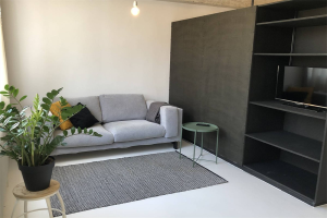 Te huur: Appartement Professor Pieter Willemsstraat, Maastricht - 1