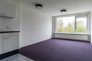 Te huur: Appartement Nesserwei, Ternaard - 1