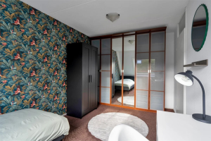 Te huur: Kamer Molecatensingel, Rotterdam - 1