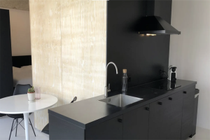 Te huur: Appartement Professor Pieter Willemsstraat, Maastricht - 1