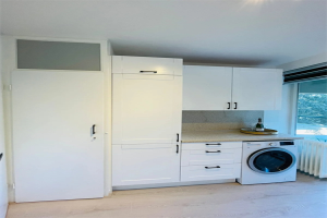 For rent: Apartment Ovidiuslaan, Den Bosch - 1