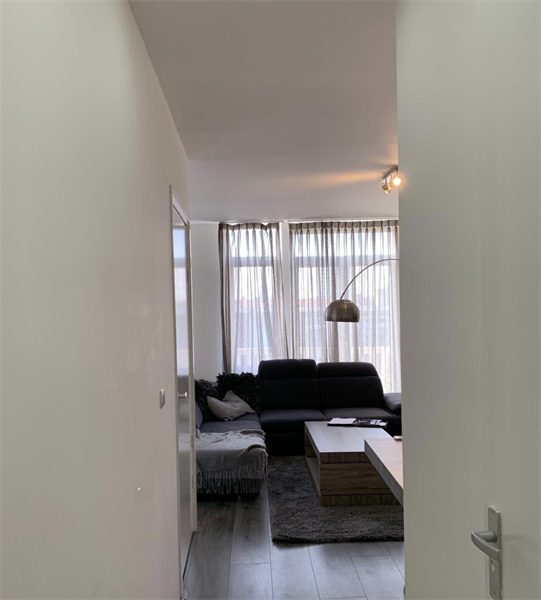For rent: Apartment Boerhaavelaan, Schiedam - 3