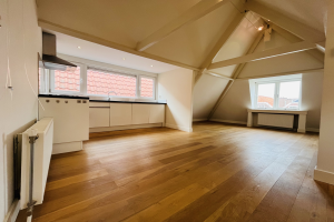 Te huur: Appartement Prins Hendrikstraat, Den Haag - 1