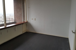 For rent: Apartment Wichard van Pontlaan, Arnhem - 1