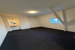 Te huur: Kamer Wilhelminapark, Tilburg - 1