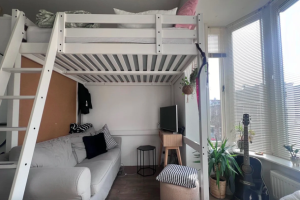 Te huur: Appartement Koekoekstraat, Utrecht - 1