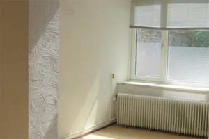 Te huur: Kamer Lyonnetstraat, Maastricht - 1