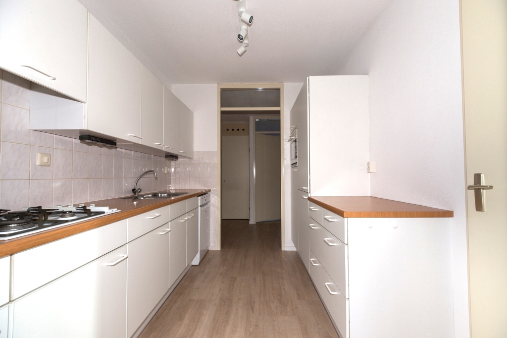 Apartment Donker Curtiusstraat for rent in Den Haag 483009